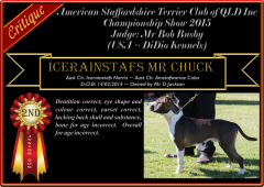 Class 4 ~ 2nd ~ Icerainstafs Mr Chuck.png
